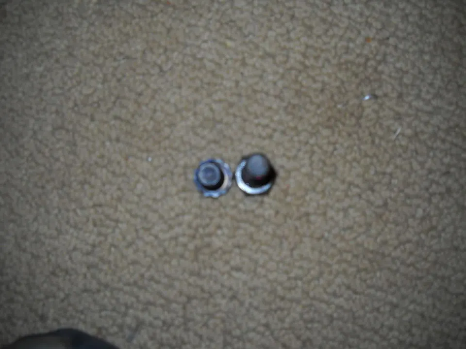 DSCN05382.webp