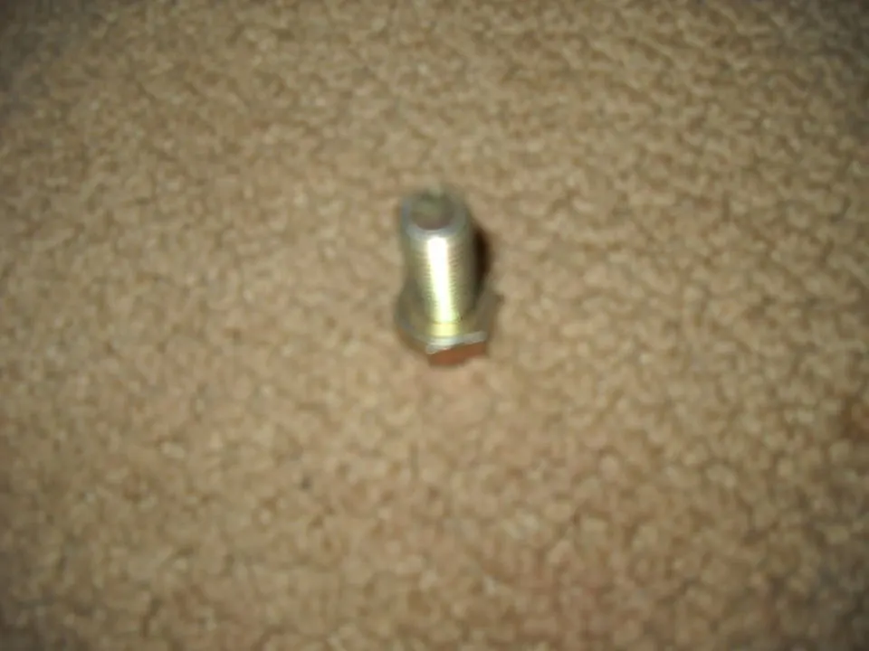 DSCN0545.webp