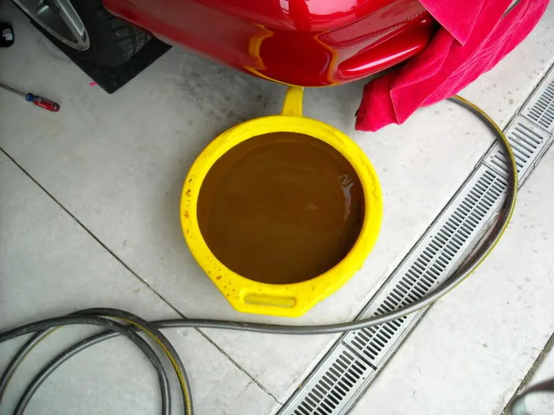 DSCN0545.webp