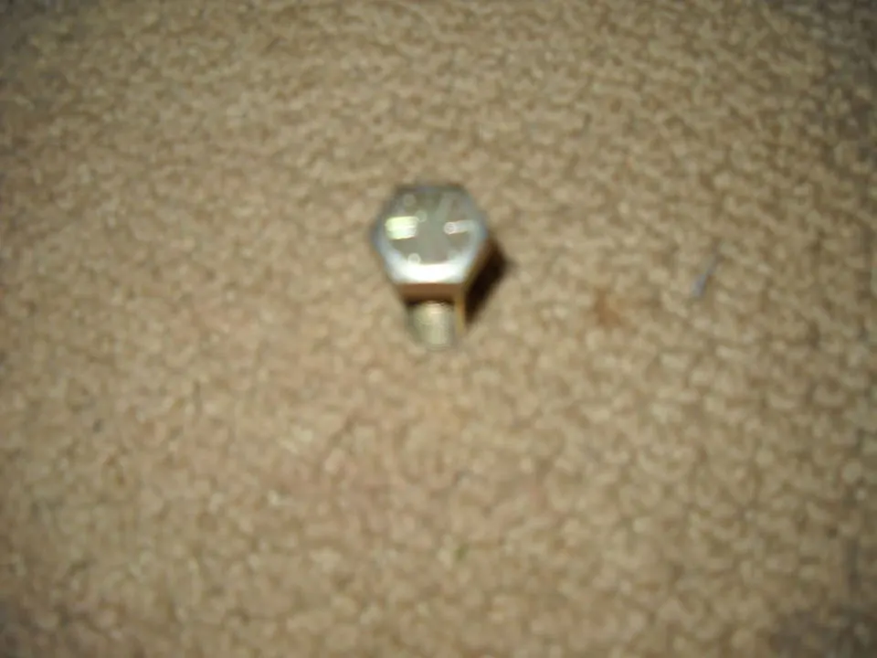 DSCN0546.webp