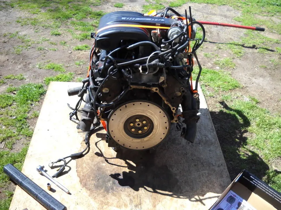 DSCN0550.webp
