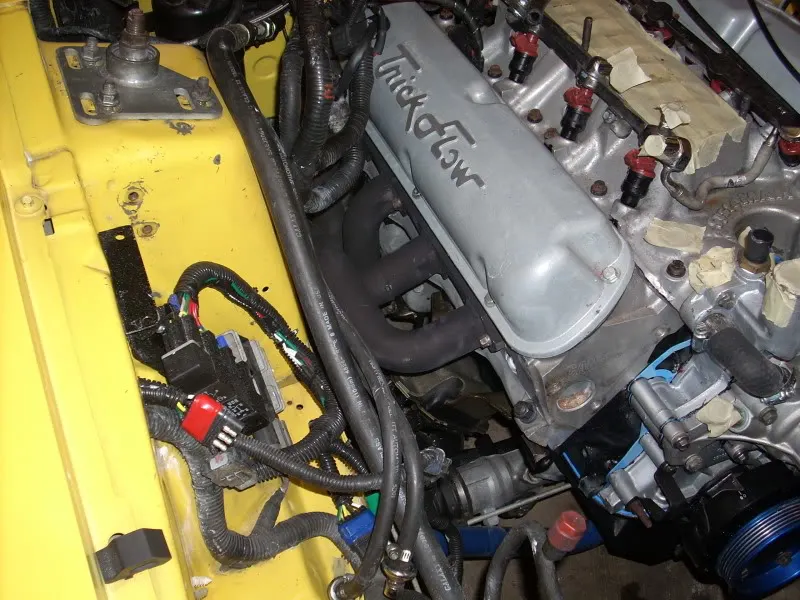 DSCN0551.webp
