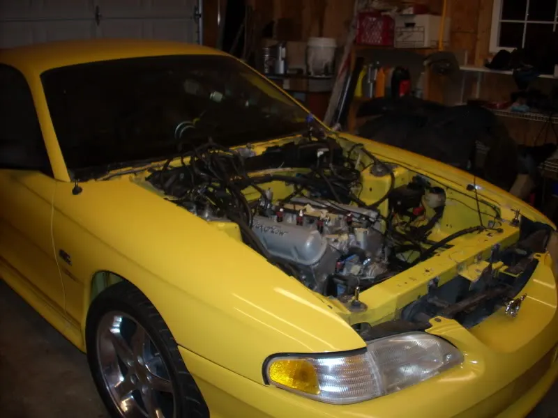 DSCN0552.webp