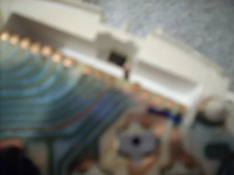 DSCN0557.webp