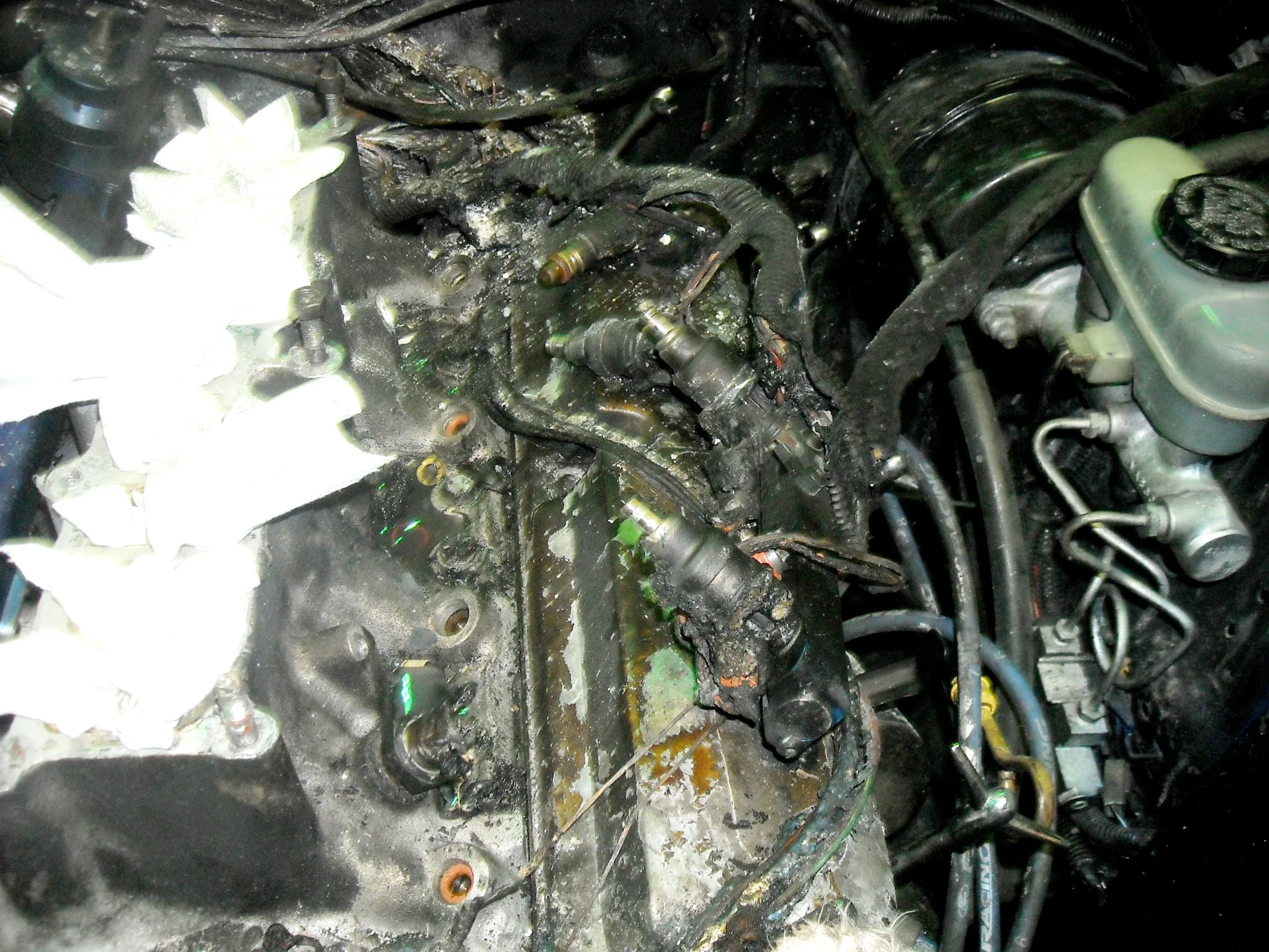 DSCN0576a.webp