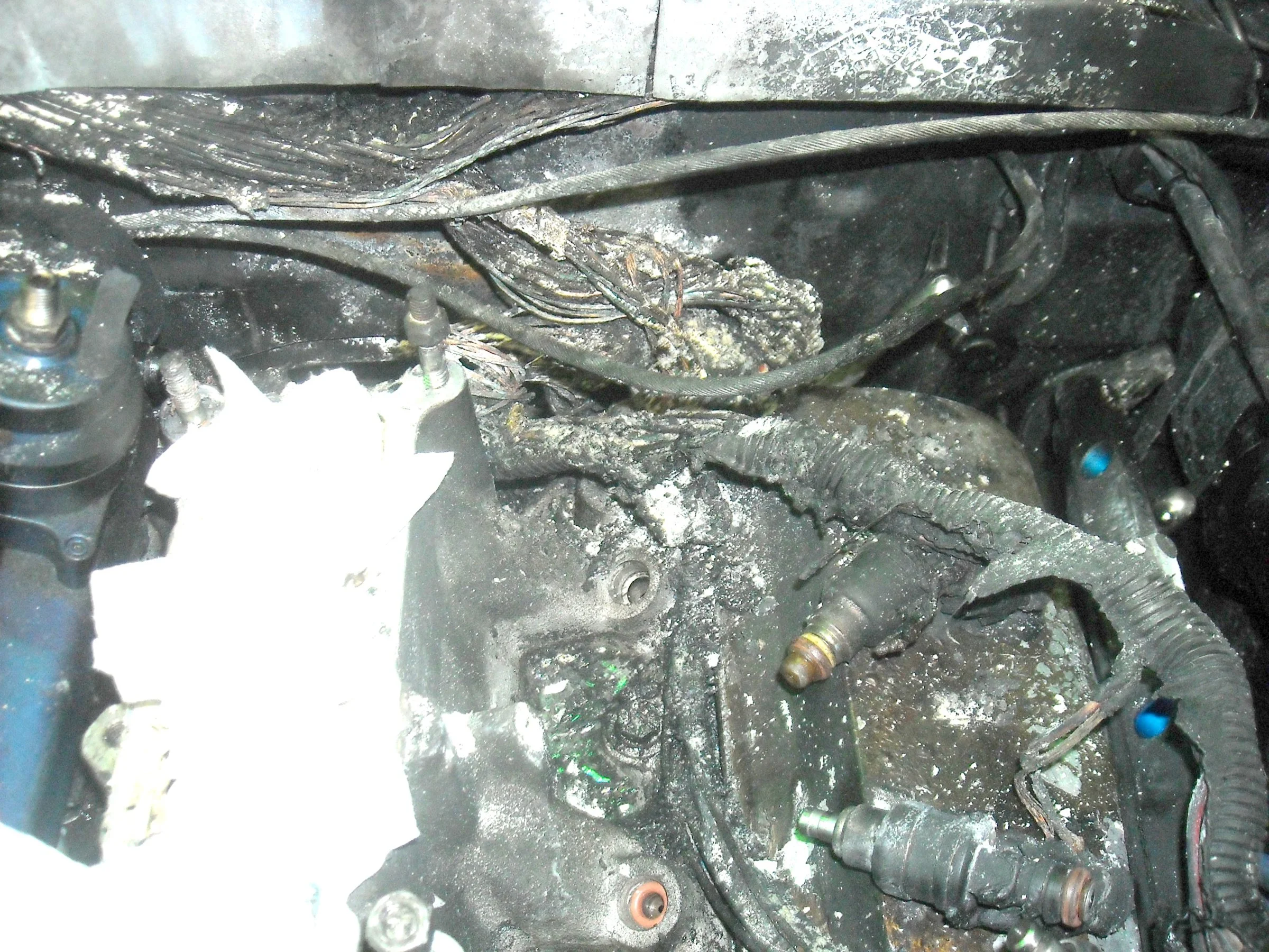 DSCN0577a.webp