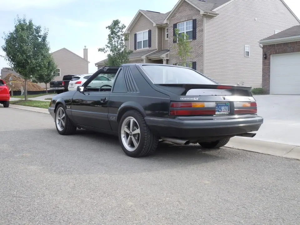 DSCN0578.webp