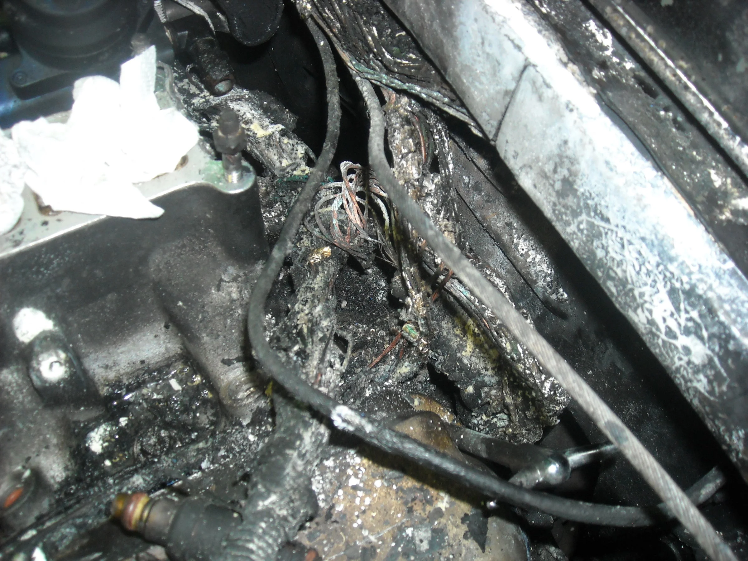 DSCN0578.webp