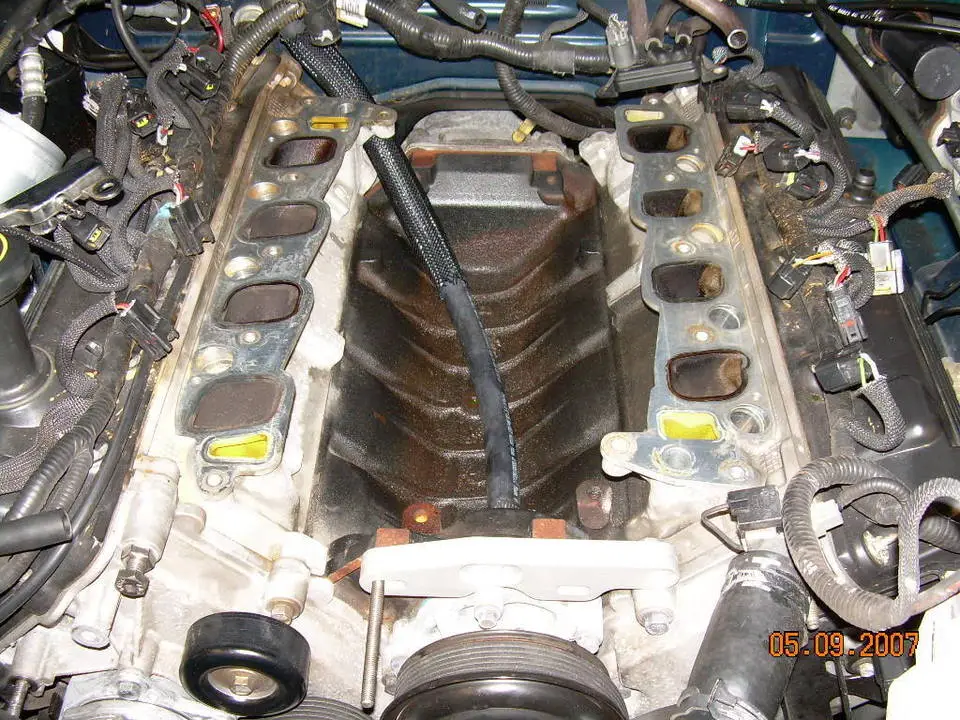 DSCN0623.webp