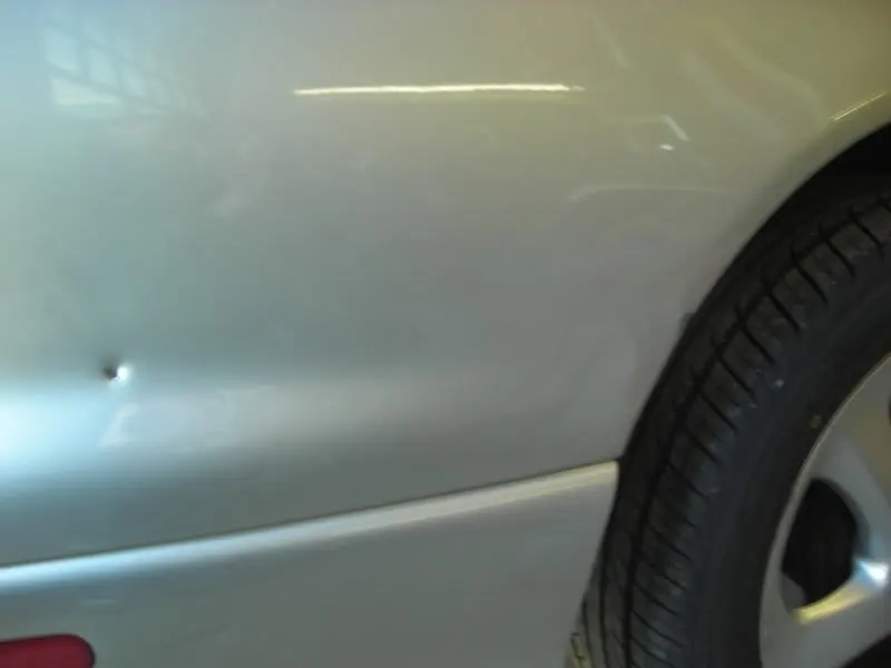 DSCN0654.webp