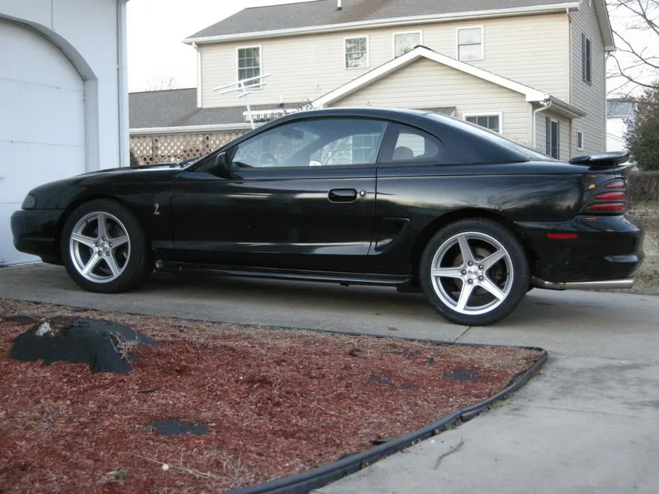 DSCN0722.webp