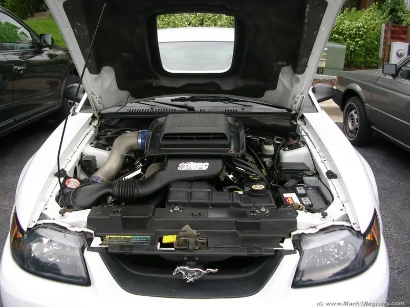 DSCN0731.webp