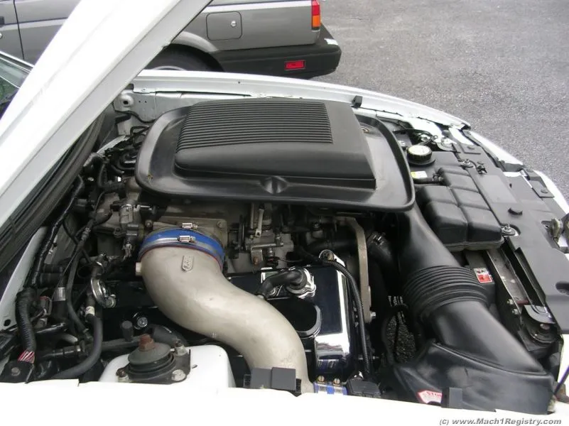 DSCN0732.webp