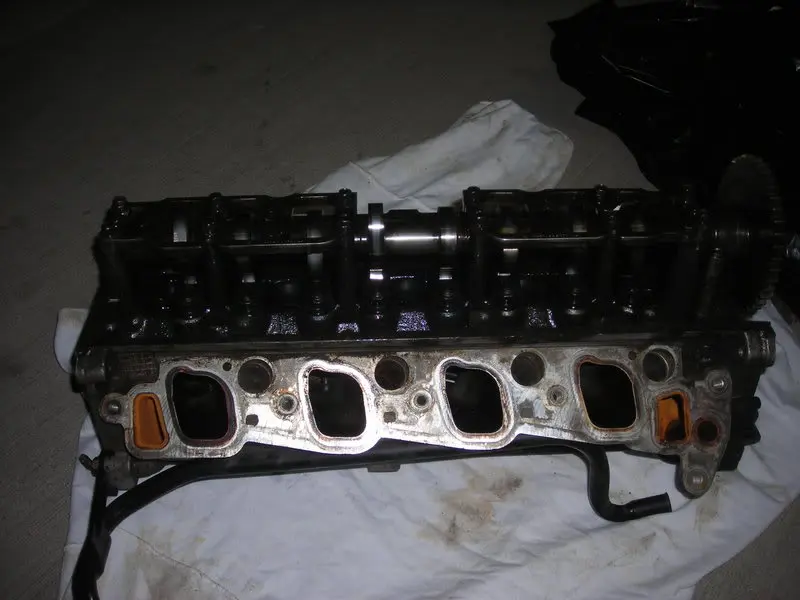 DSCN0768.webp
