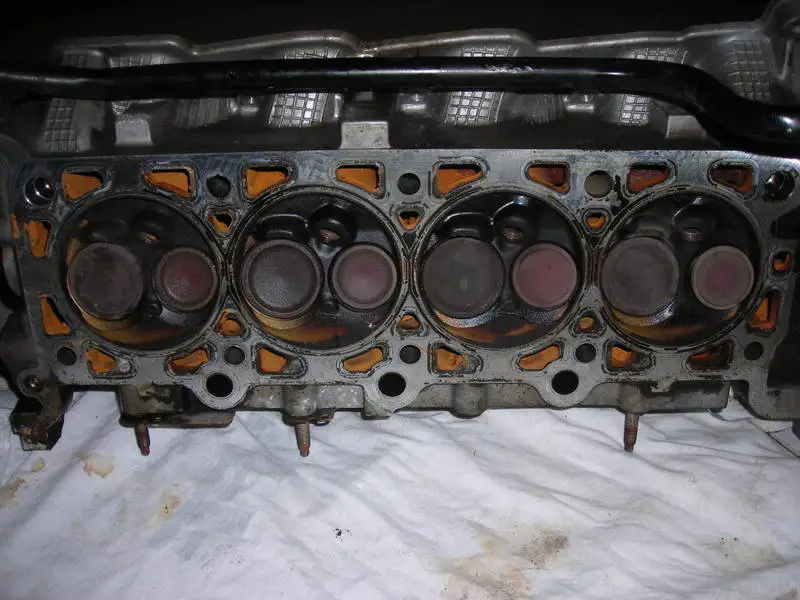 DSCN0770.webp