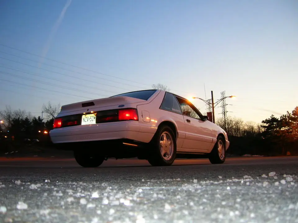 DSCN0773.webp