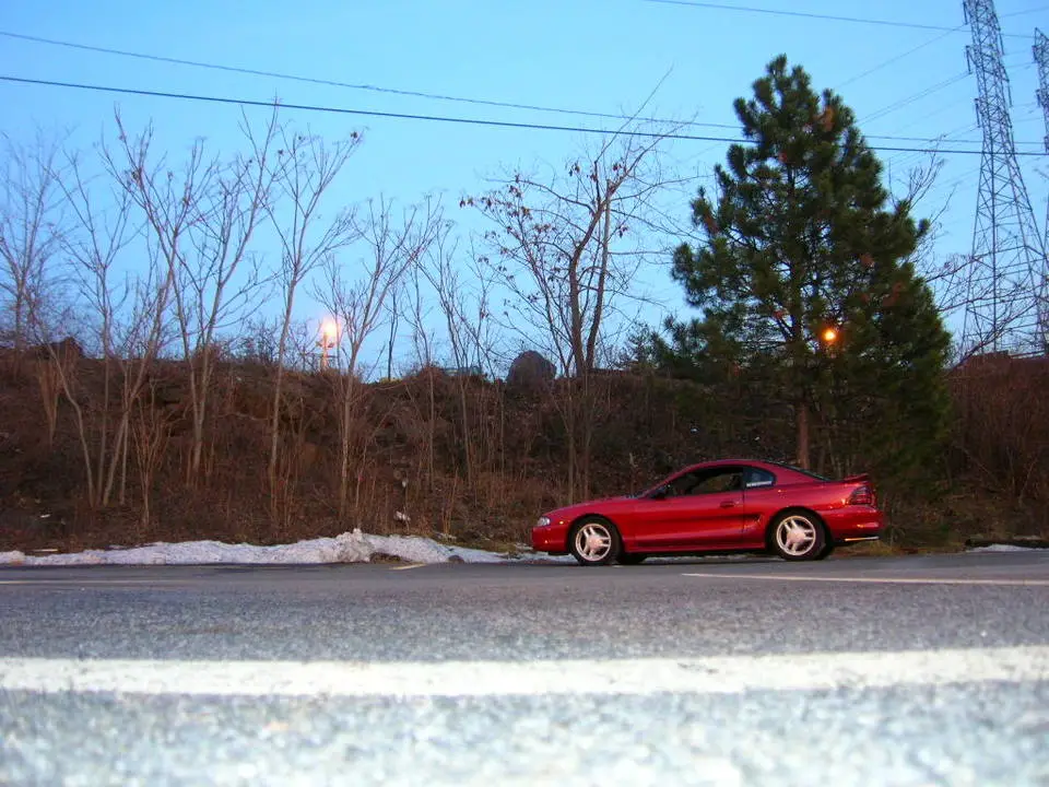 DSCN0774.webp