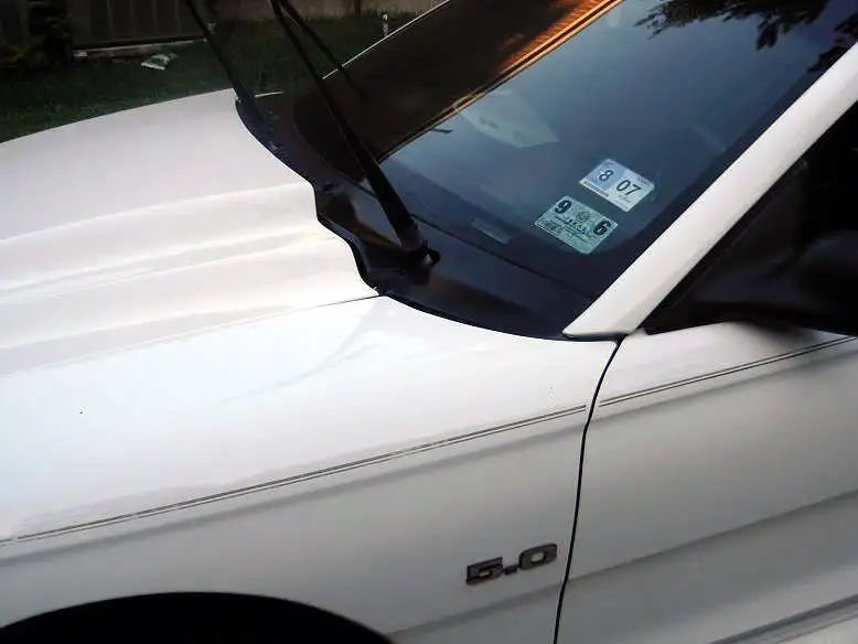 DSCN0781.webp