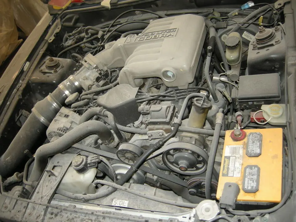 DSCN0803.webp