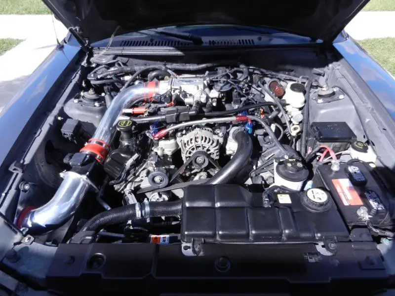 DSCN0809.webp