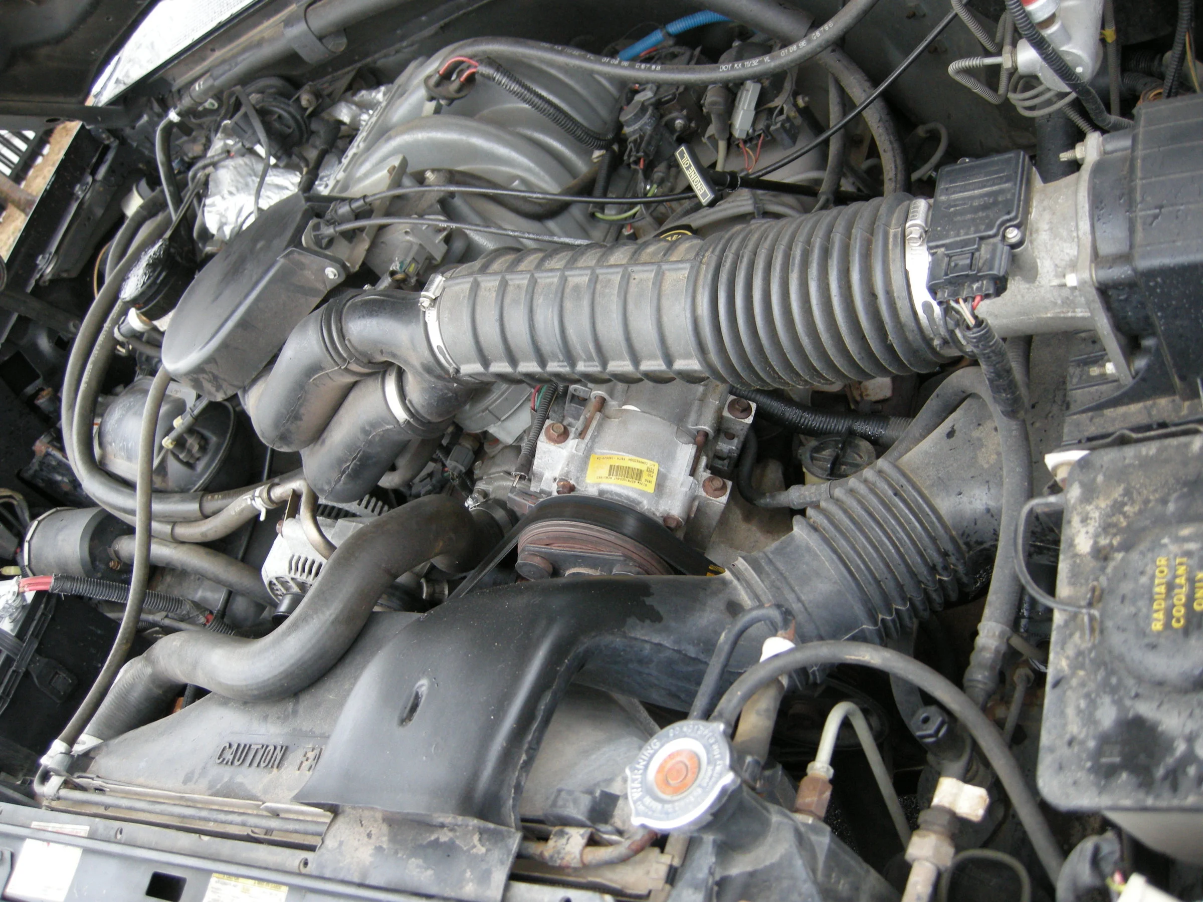 DSCN0811.webp