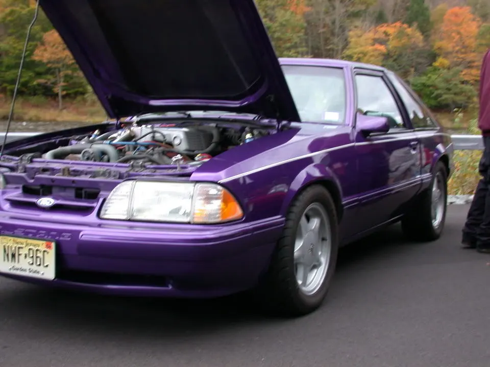 DSCN0813.webp