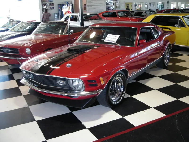 DSCN0819.webp