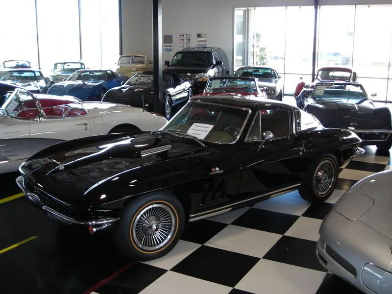 DSCN0831.webp