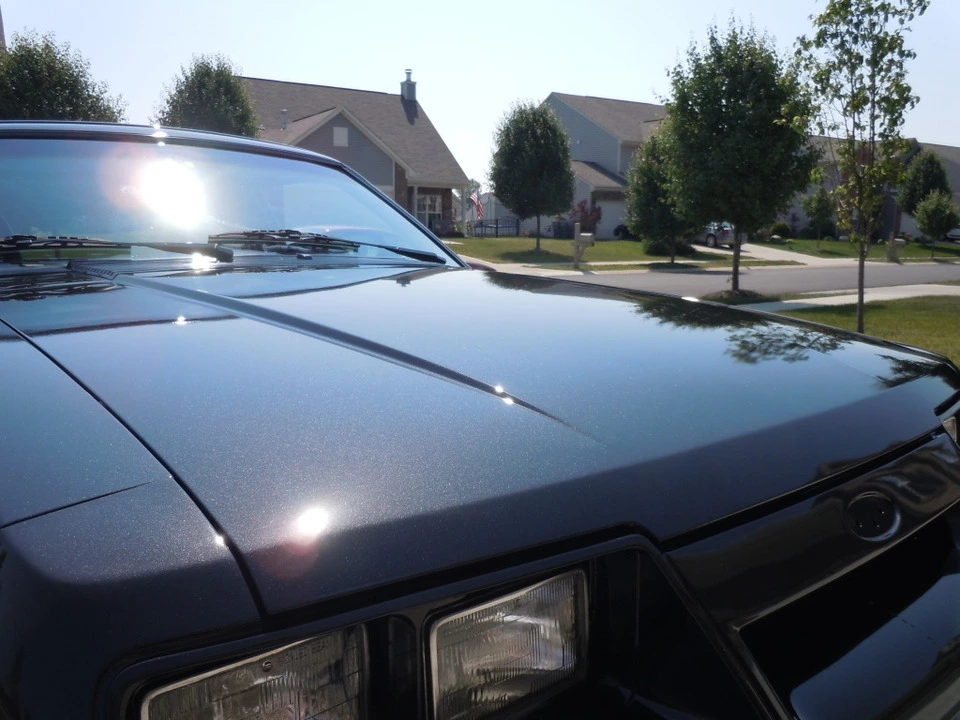DSCN0841.webp