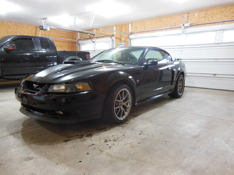 DSCN0849.webp