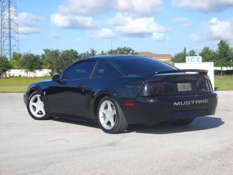 DSCN0853.webp