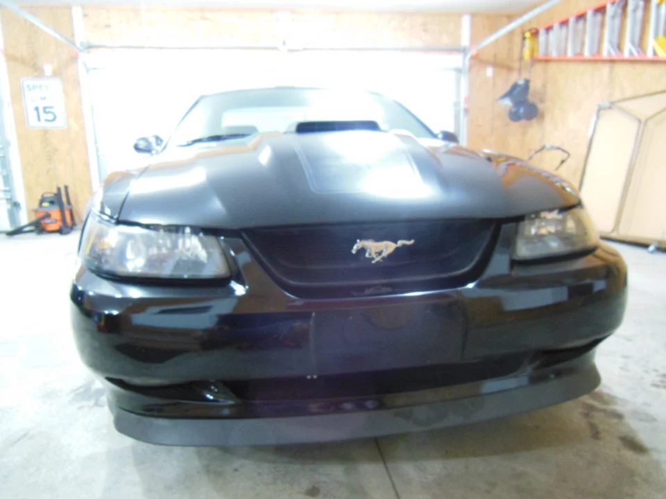 DSCN0854.webp
