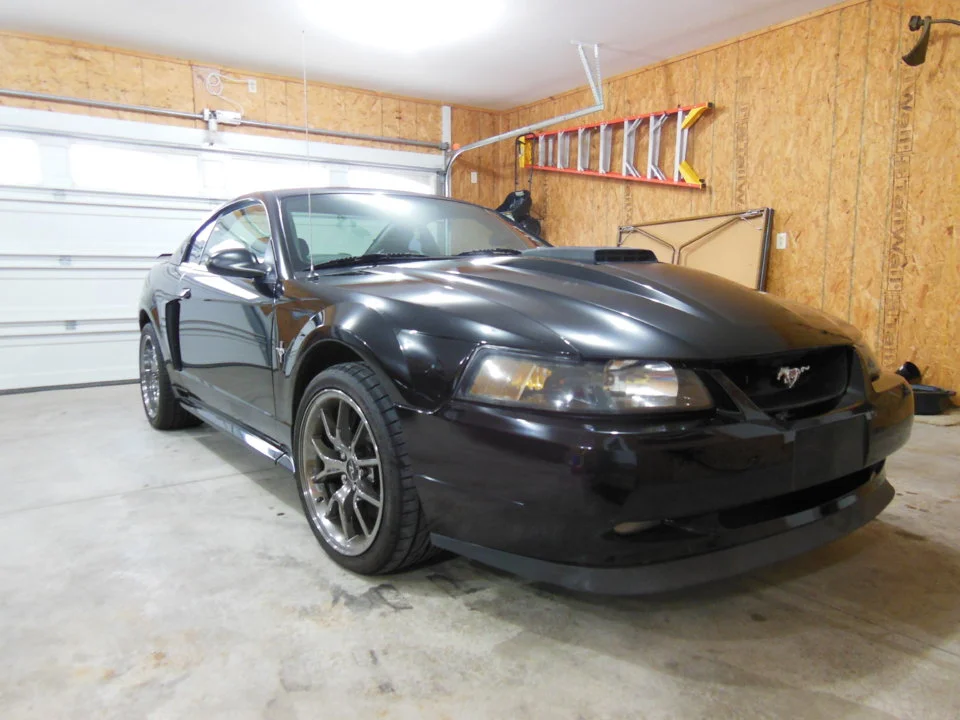 DSCN0855.webp