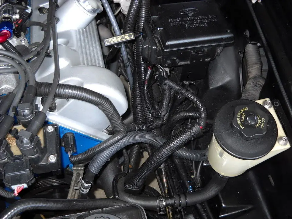 DSCN0861.webp