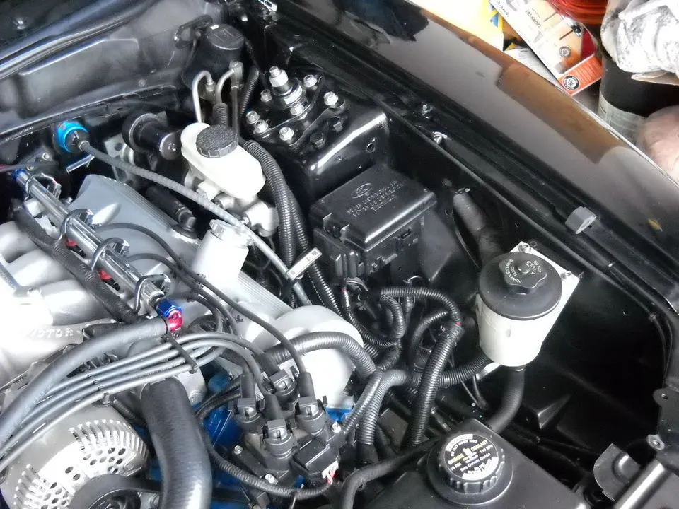 DSCN0865.webp