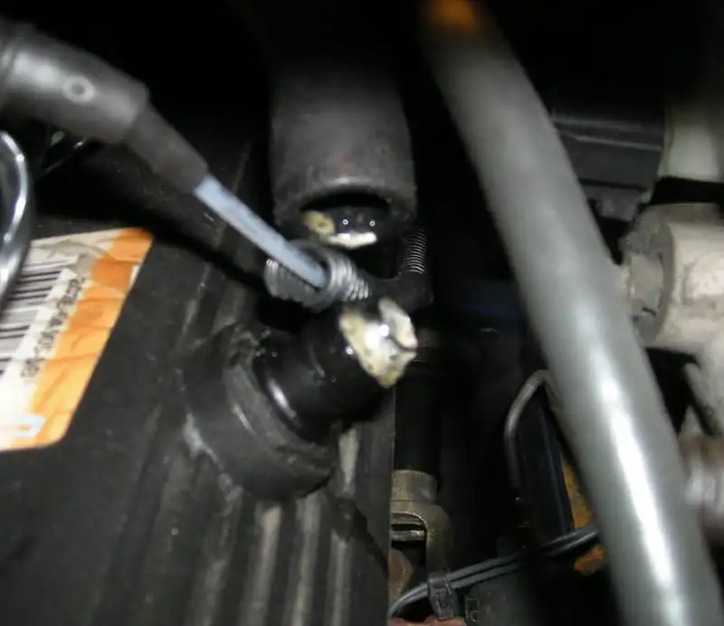 DSCN0875a.webp