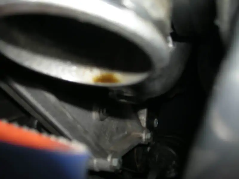 DSCN0880a.webp