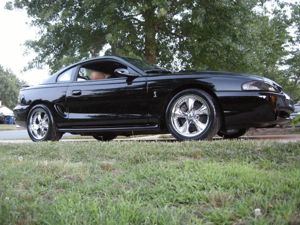 DSCN0910.webp