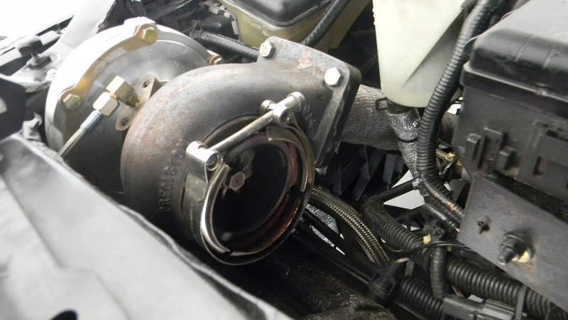 DSCN0911.webp