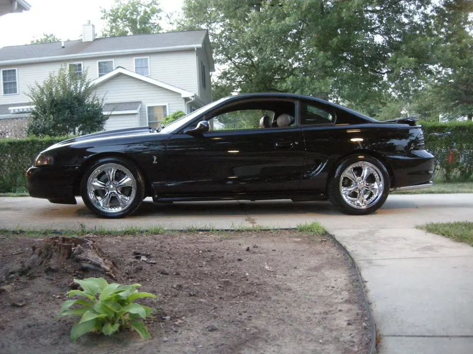 DSCN0913.webp