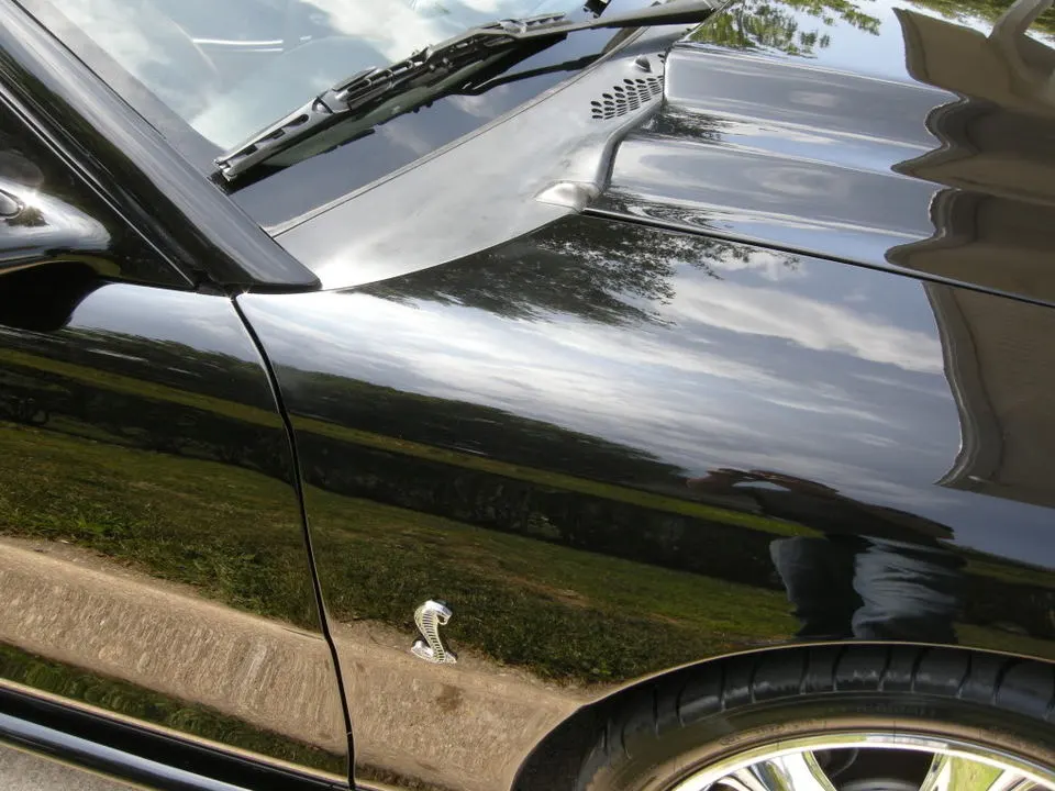 DSCN0918.webp