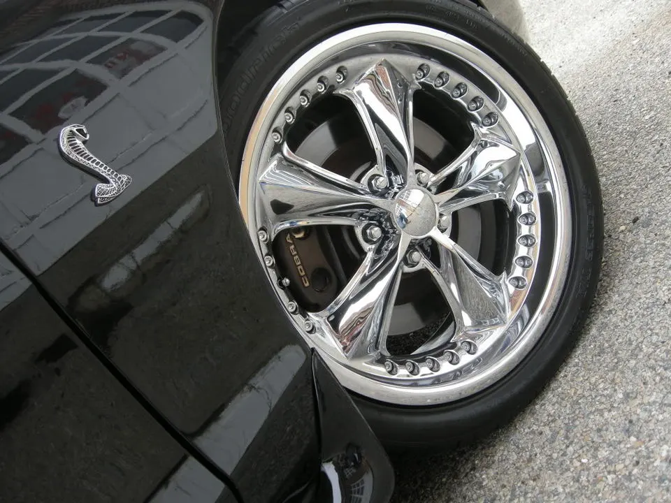 DSCN0929.webp