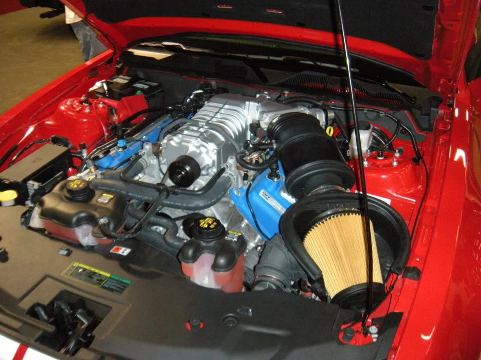 DSCN0933.webp