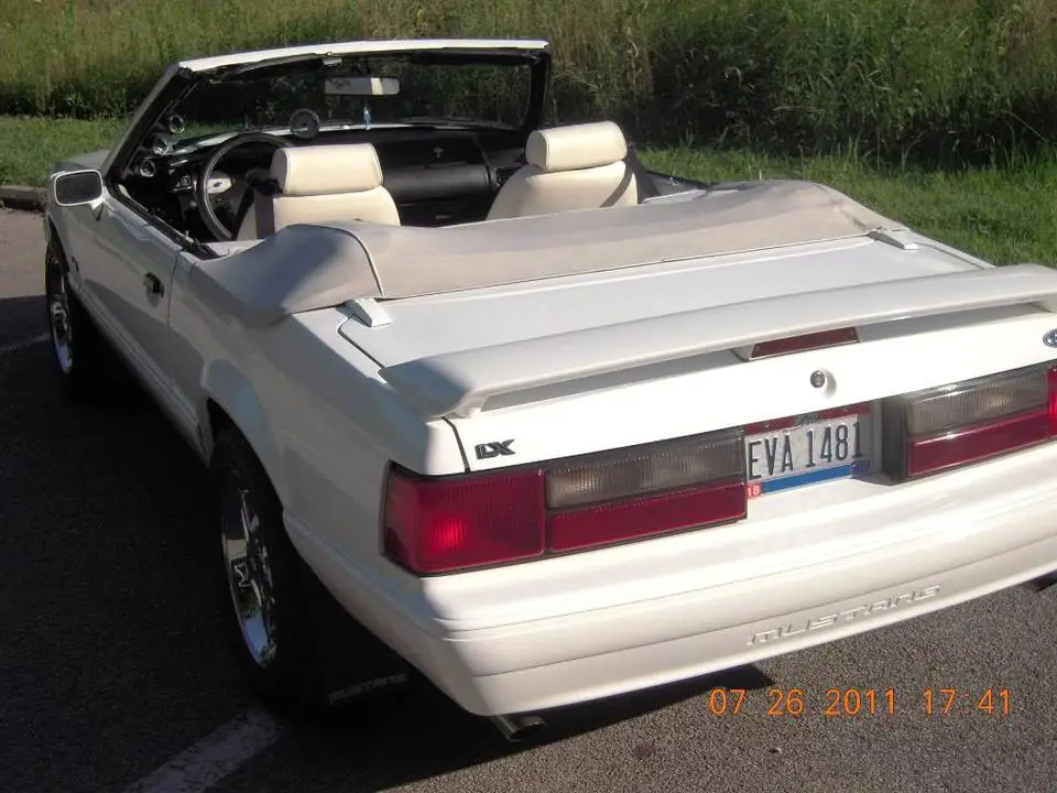 DSCN0941.webp
