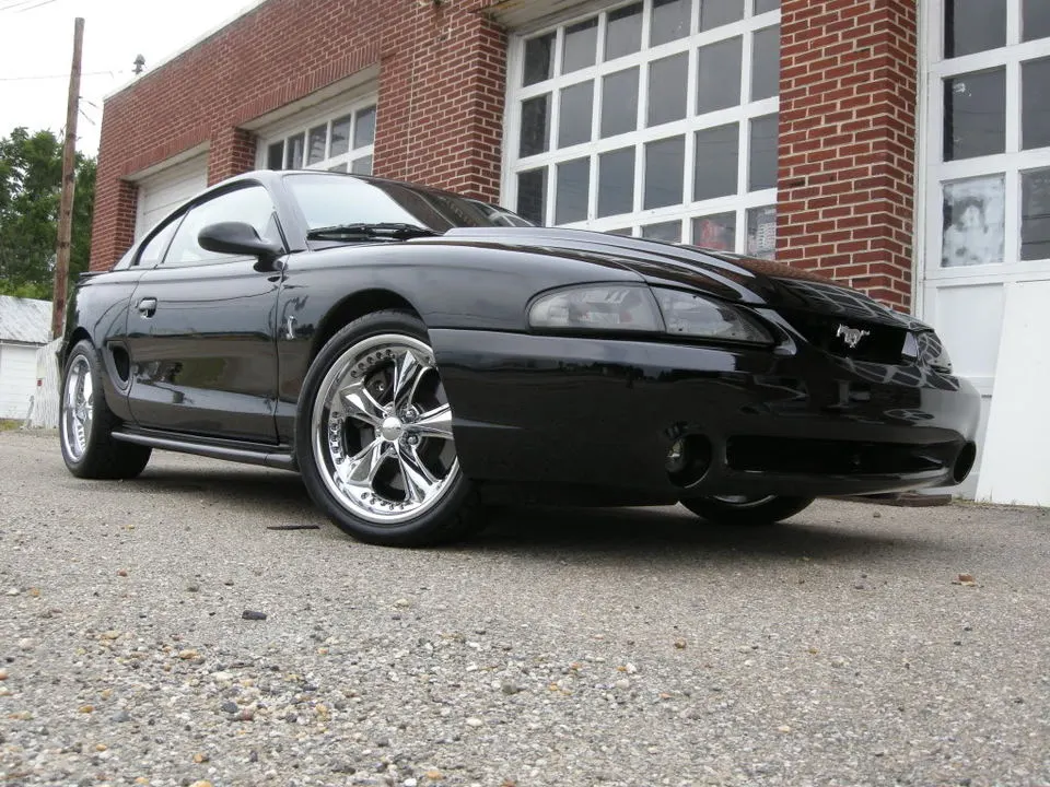 DSCN0942.webp