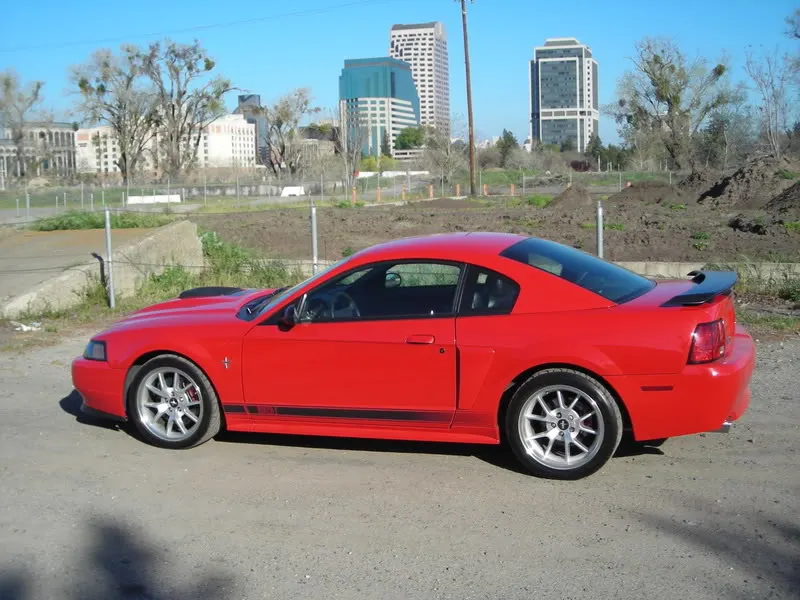 DSCN0943.webp