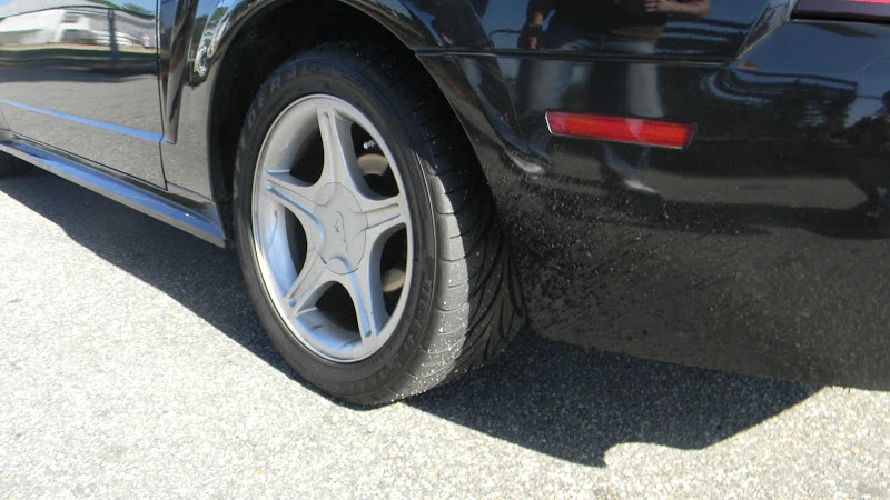 DSCN0948.webp