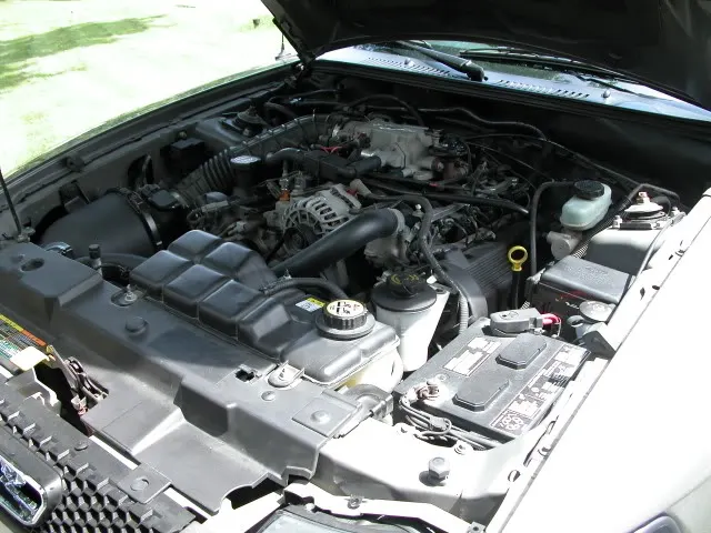 DSCN0960.webp