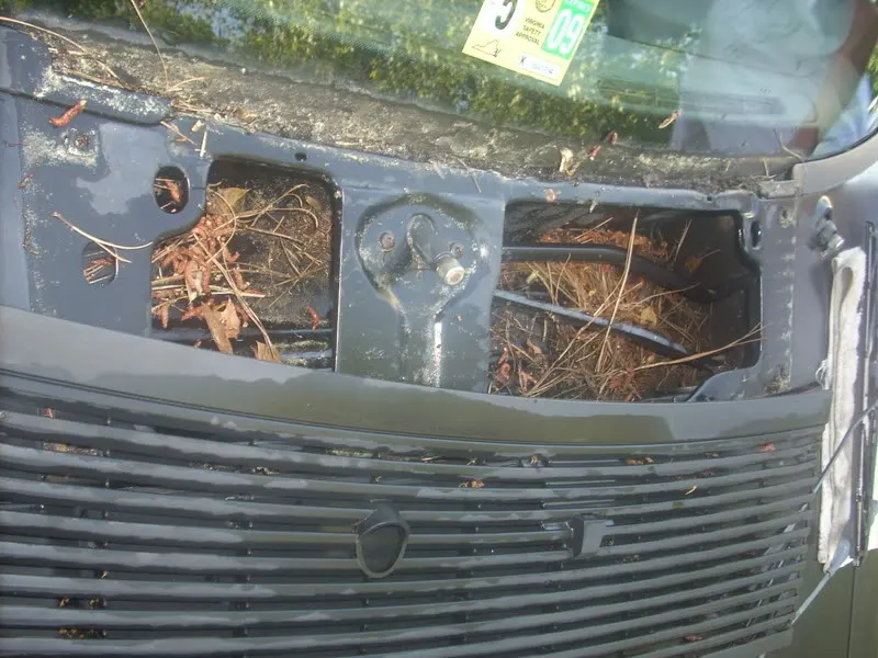 DSCN0968.webp