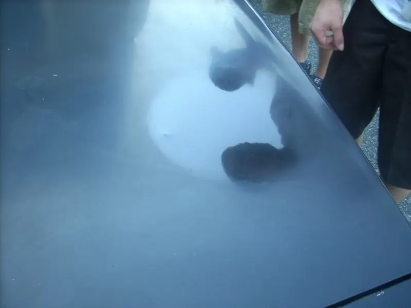 DSCN0970.webp